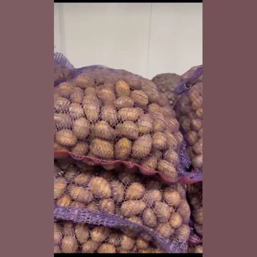 Small seed potatoes social