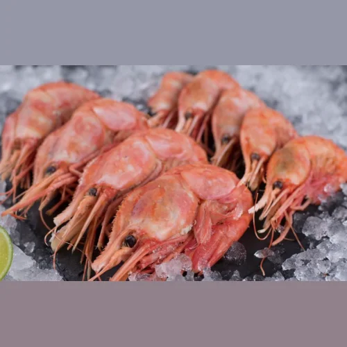 Botan shrimp boiled and frozen extra large