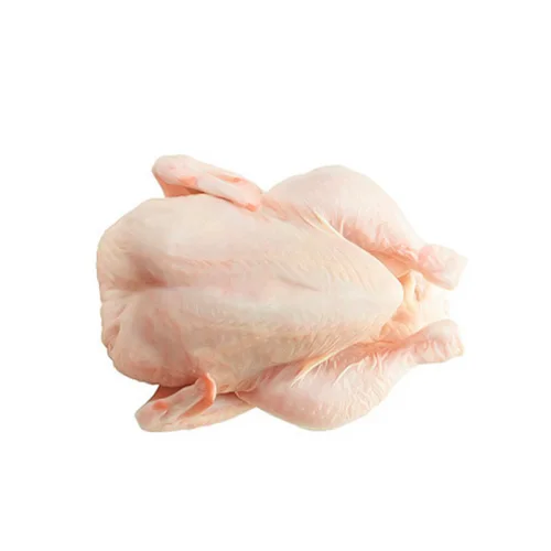 Broiler chicken