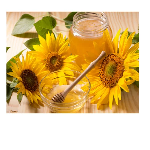 Honey sunflower