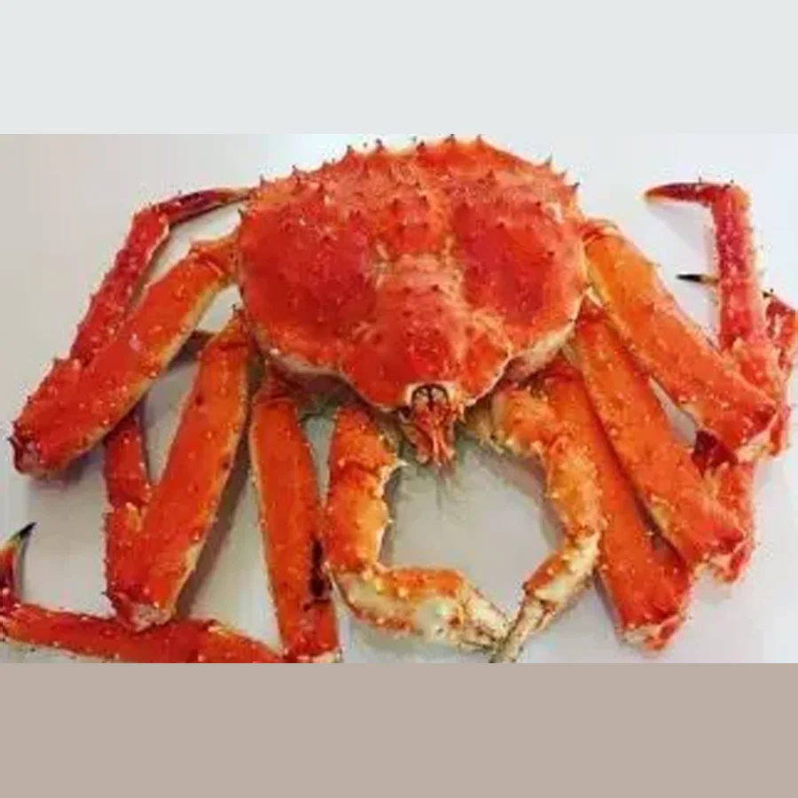 Kamchatsky gift crab