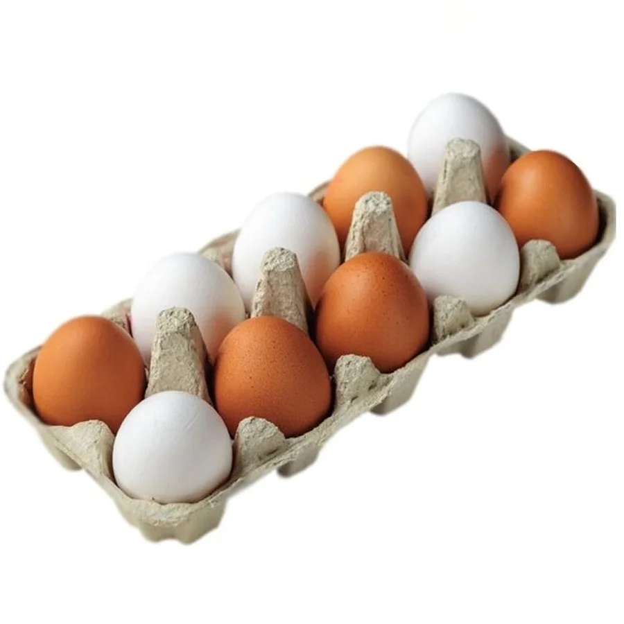 Egg Chicken Food Dietary