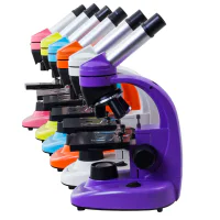 Microscope Levenhuk Rainbow 50L NG Amethyst / Amethyst