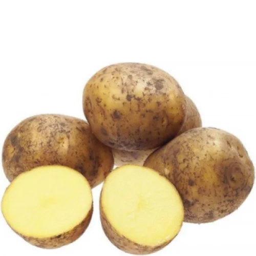 Yellow potatoes 