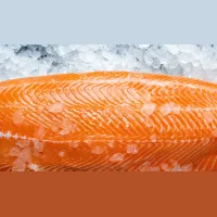 Salmon chilled salmon fillet