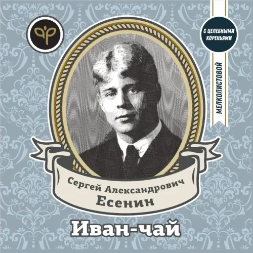 Sergey Aleksandrovich Yesenin (creatively toning)