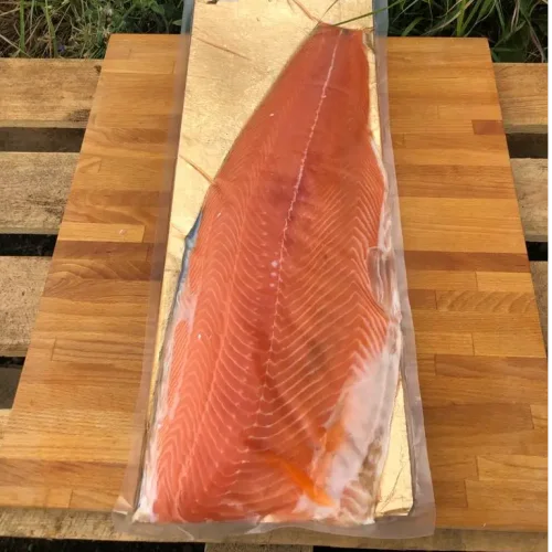 Fish fillet salmon