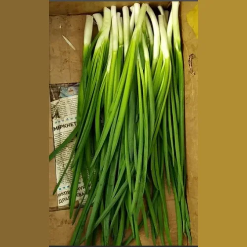 Green onion Ecolook