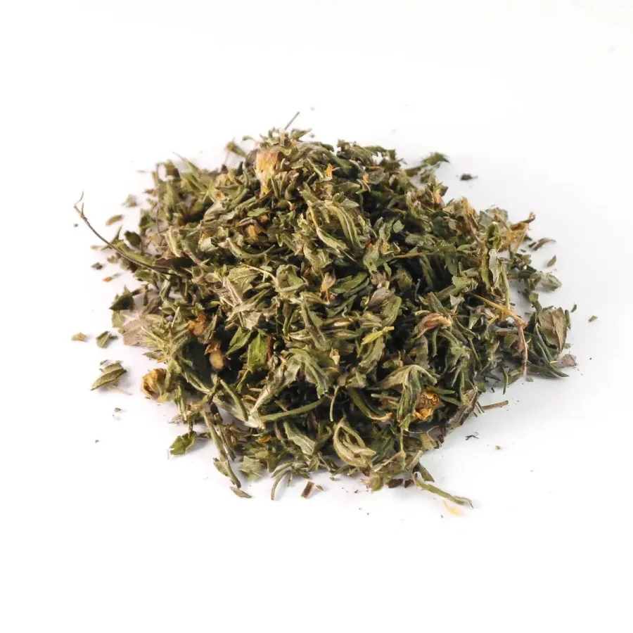 Kuril tea (lapping shrub)