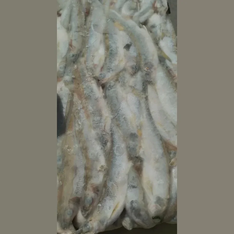 Корюшка свежемороженая 18-20 см
