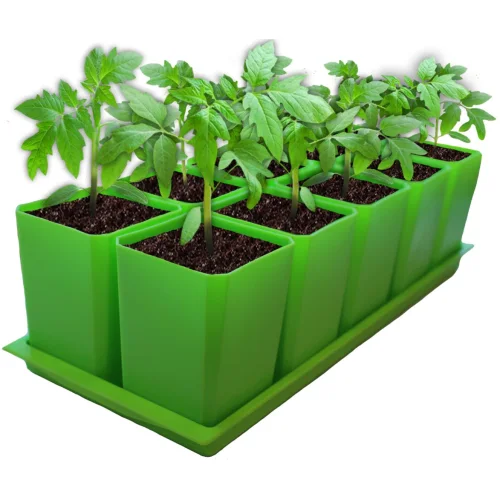 Seedling kit 10*0.75L Green