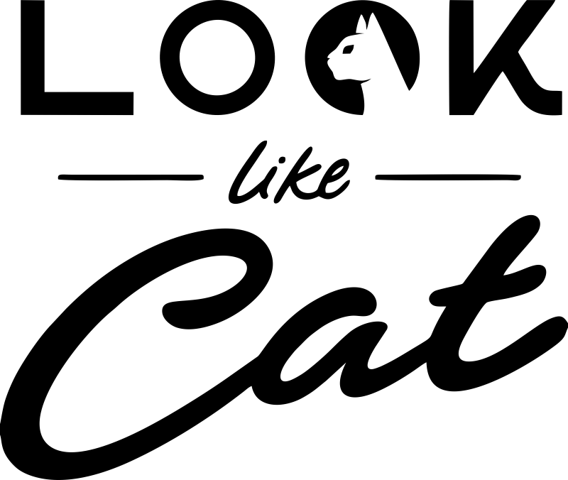 ООО "МВ"