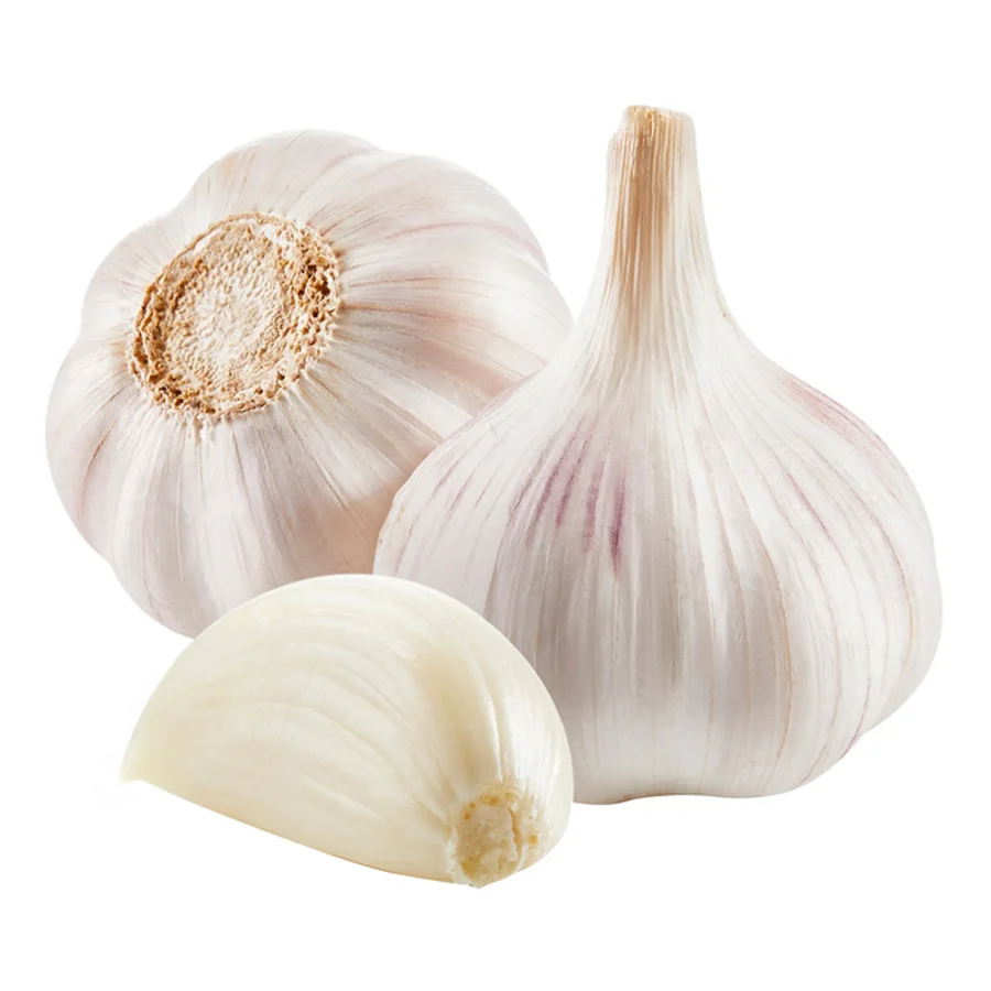 Garlic 2 grades