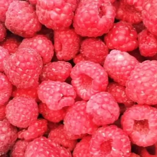 Raspberry freshly frozen