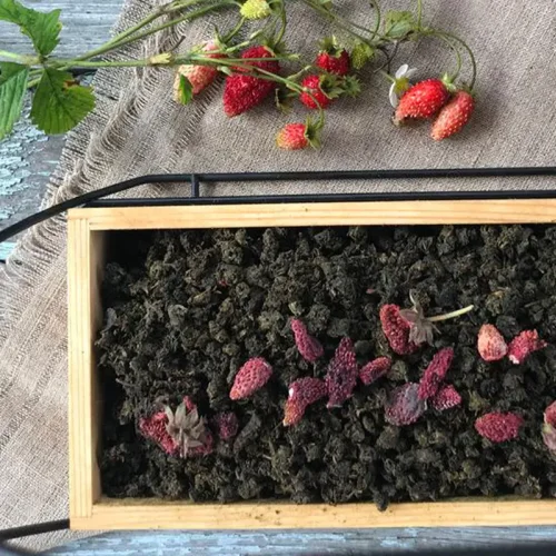 Author's tea from Baikal herbs "Forest strawberry"