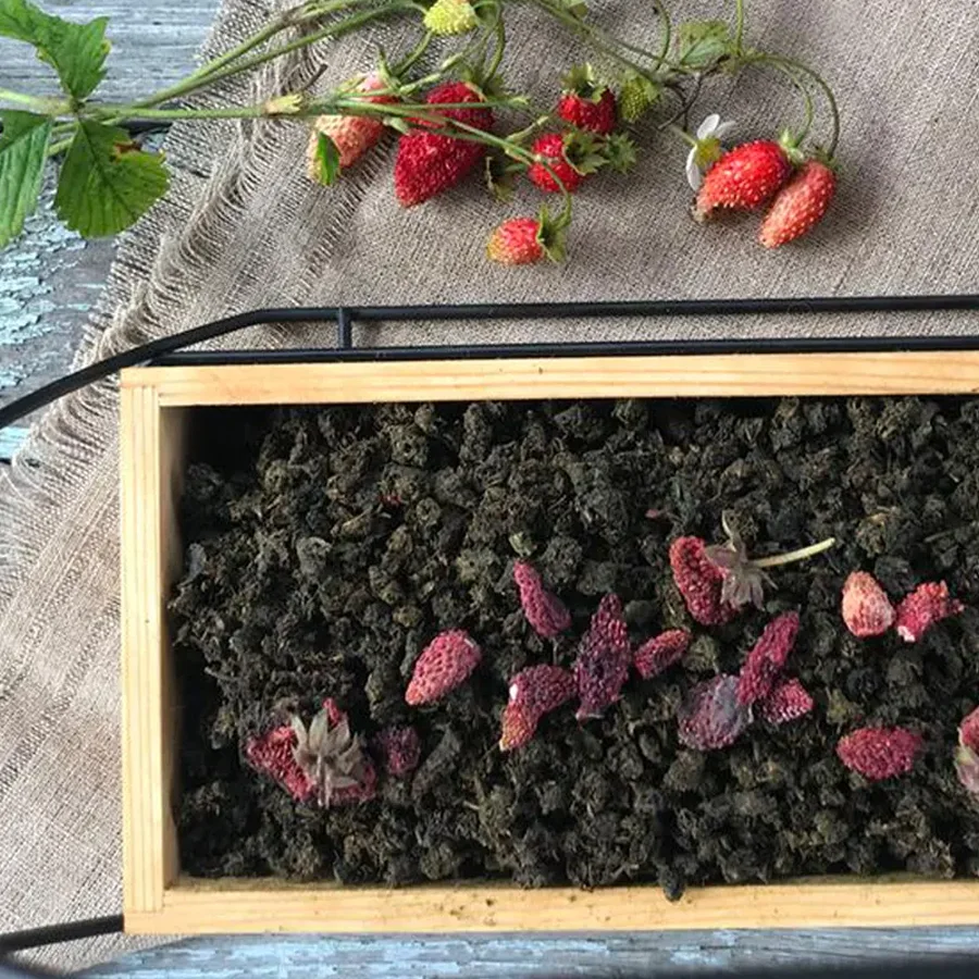 Author's tea from Baikal herbs "Forest strawberry"
