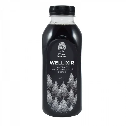 Siberian fir extract with chaga / Wellixir / 500 ml