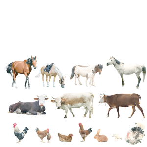 Товары для животноводства