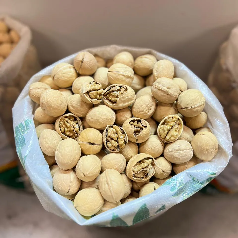 A nut in a shell 33+