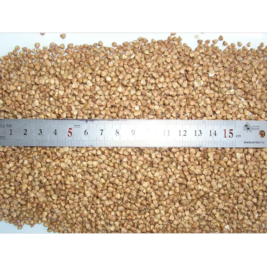 Groats buckwheat kernel