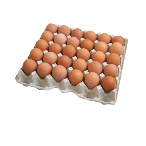 Chicken Egg 1 Category