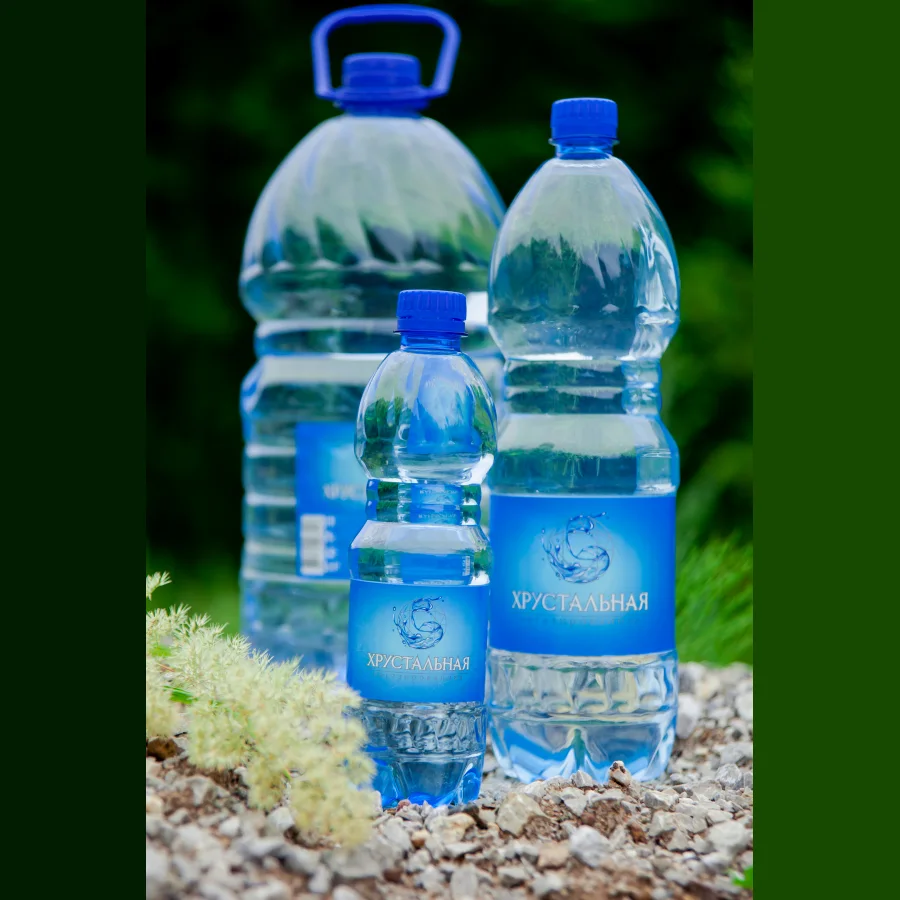 Вода природная питьевая Газированная 0,5л
