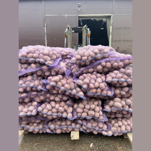 Potatoes wholesale