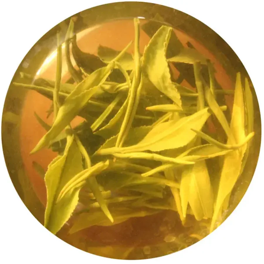Georgian green solicular tea