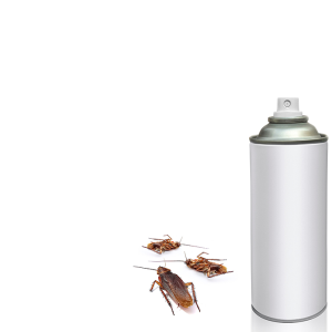 Remedies for cockroaches and ants