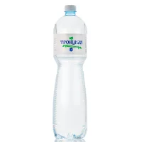 Drinking water "Troitskaya", n/gas, 1.5l