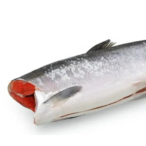 Sockeye salmon size M