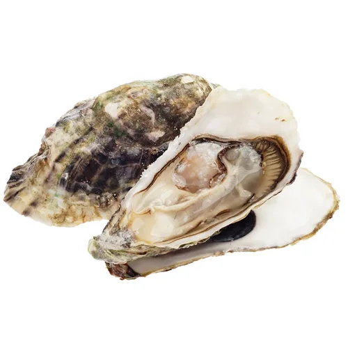 Imperial oysters (size 150-200 g)