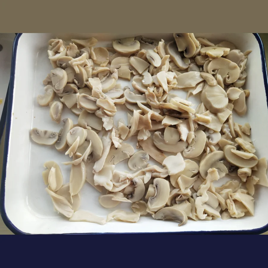Mixtures of mushrooms, cut champignons