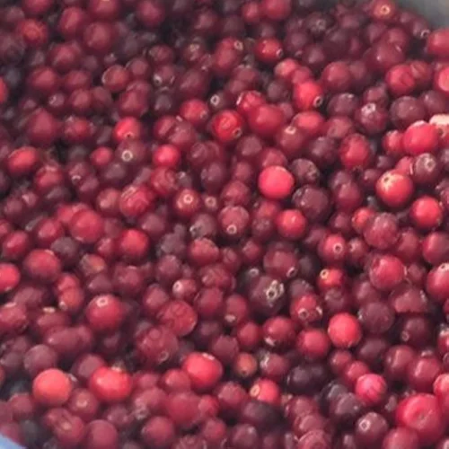 Wild cranberries