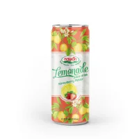 Lemonade Juice Drink with Mint Fruit Flavor 330ml Wholesalers OEM ODM Beverage