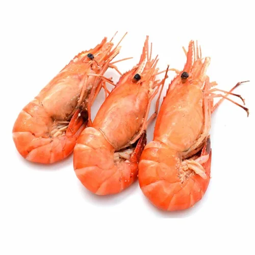 Shrimp Botan selected