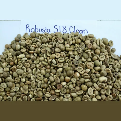 Green coffee beans. Vietnam Robusta 18 clean