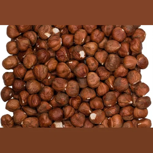 Raw hazelnuts