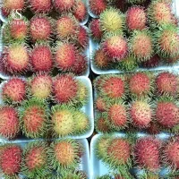Fresh Rambutan from Vietnam