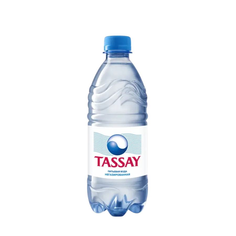 Natural mineral water TASSAY still 0.5 l
