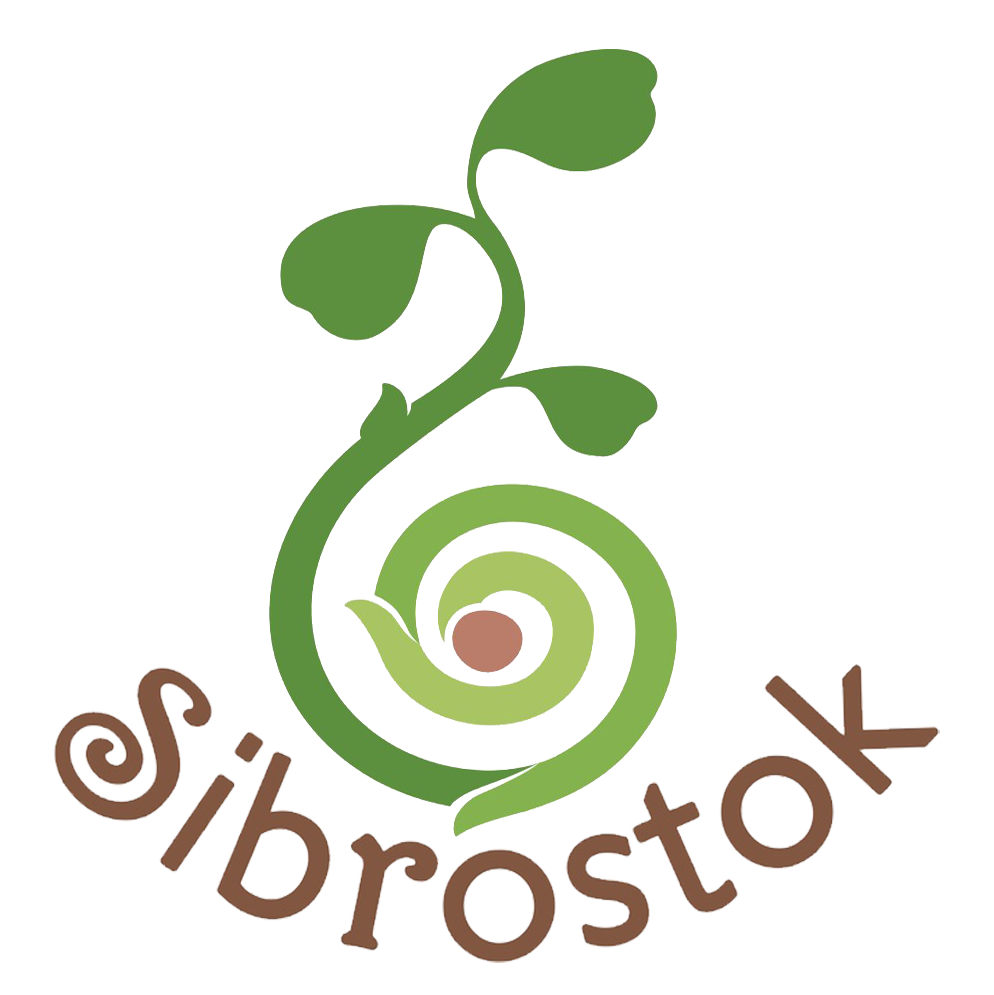 Sibrostok