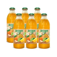 Multifruit juice "Marvelous Garden" 1.0l glass 6 pcs.