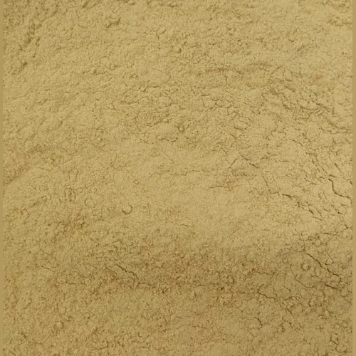 Chanterelle Micro Powder