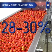 Tomato paste 245 kg., 28-30% brix, Cold Break, in an aseptic bag in a metal barrel (China)