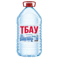 Горная родниковая вода «Тбау» 5 л б/газа