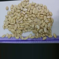 Blanched almonds