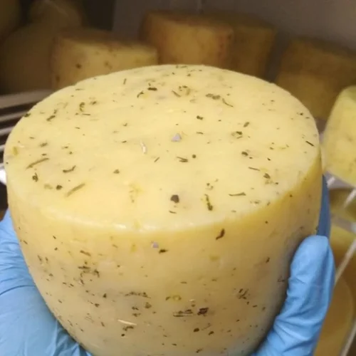 Katchotta Cheese with Olive Herbs
