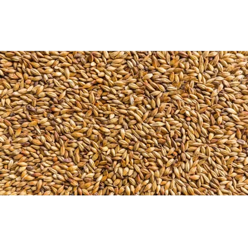 Barley malt