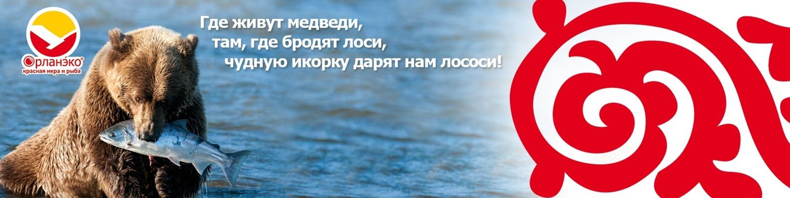 Орланэко
