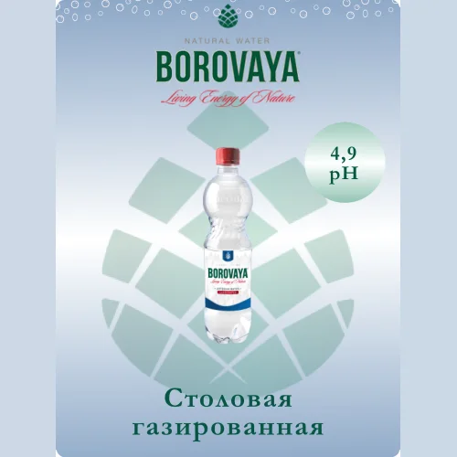 Вода природная питьевая БОРОВАЯ (Borovaya) газированная 0.5л, ПЭТ